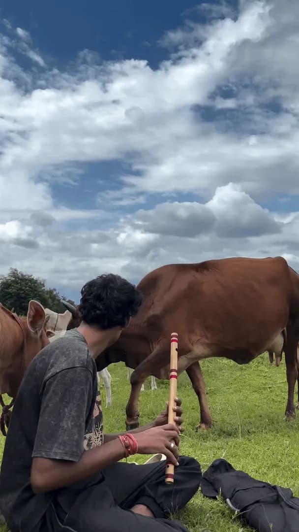 man plays flute to cows