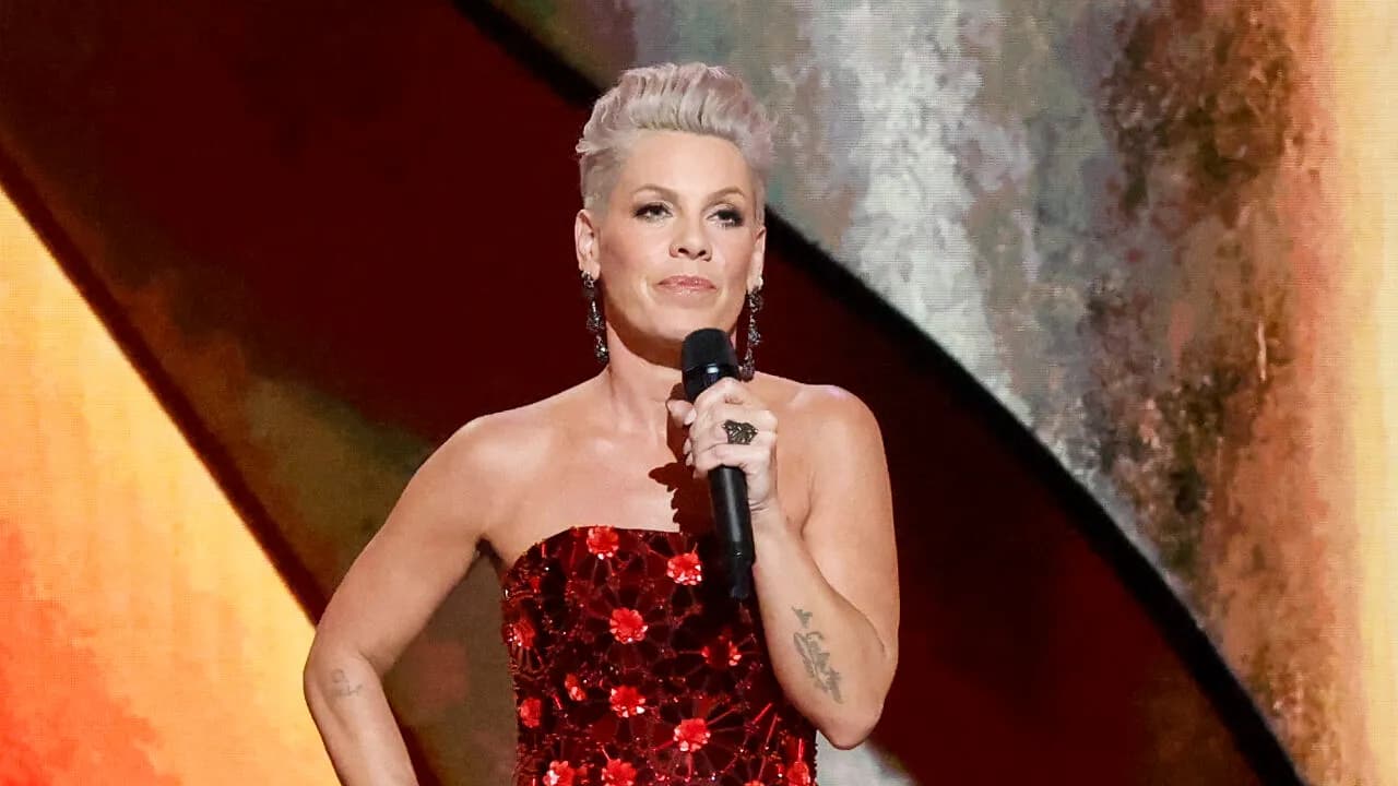 Pink Becomes Internet's Latest Target After Series Of Controversial Posts Made Her Lose Fan Support