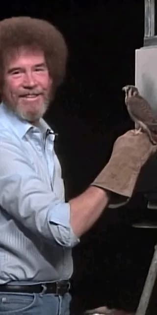 Bob Ross and his little kestrel friend