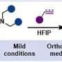 Tiny molecular rings open new ways for designing better medicines