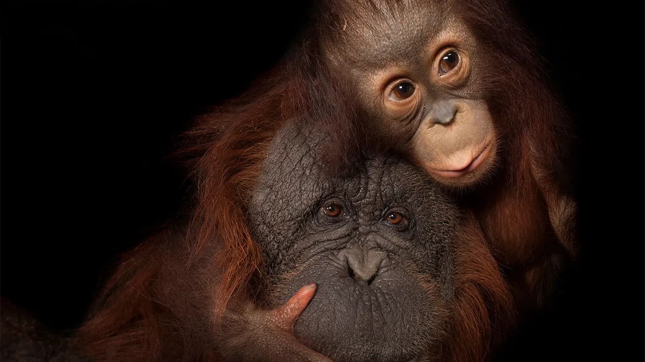 Joel Sartore Has Photographed 18,000 Species For The Photo Ark, Here Are 31 Of His Best Shots