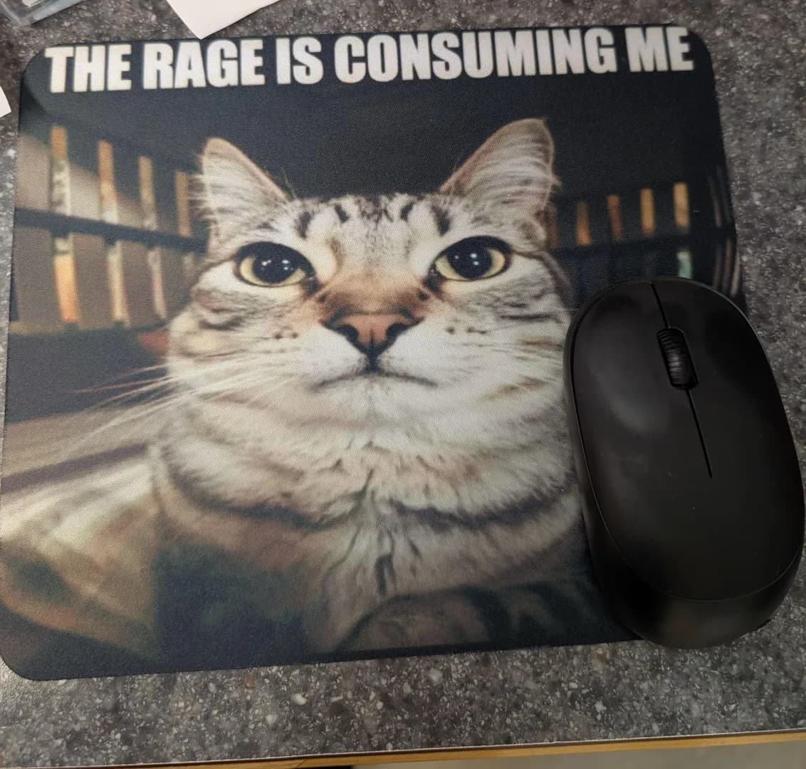 I asked my boss for a new mousepad