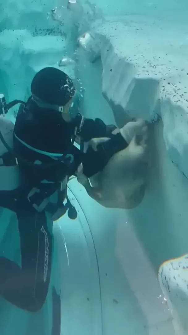 Seal getting in the way of working