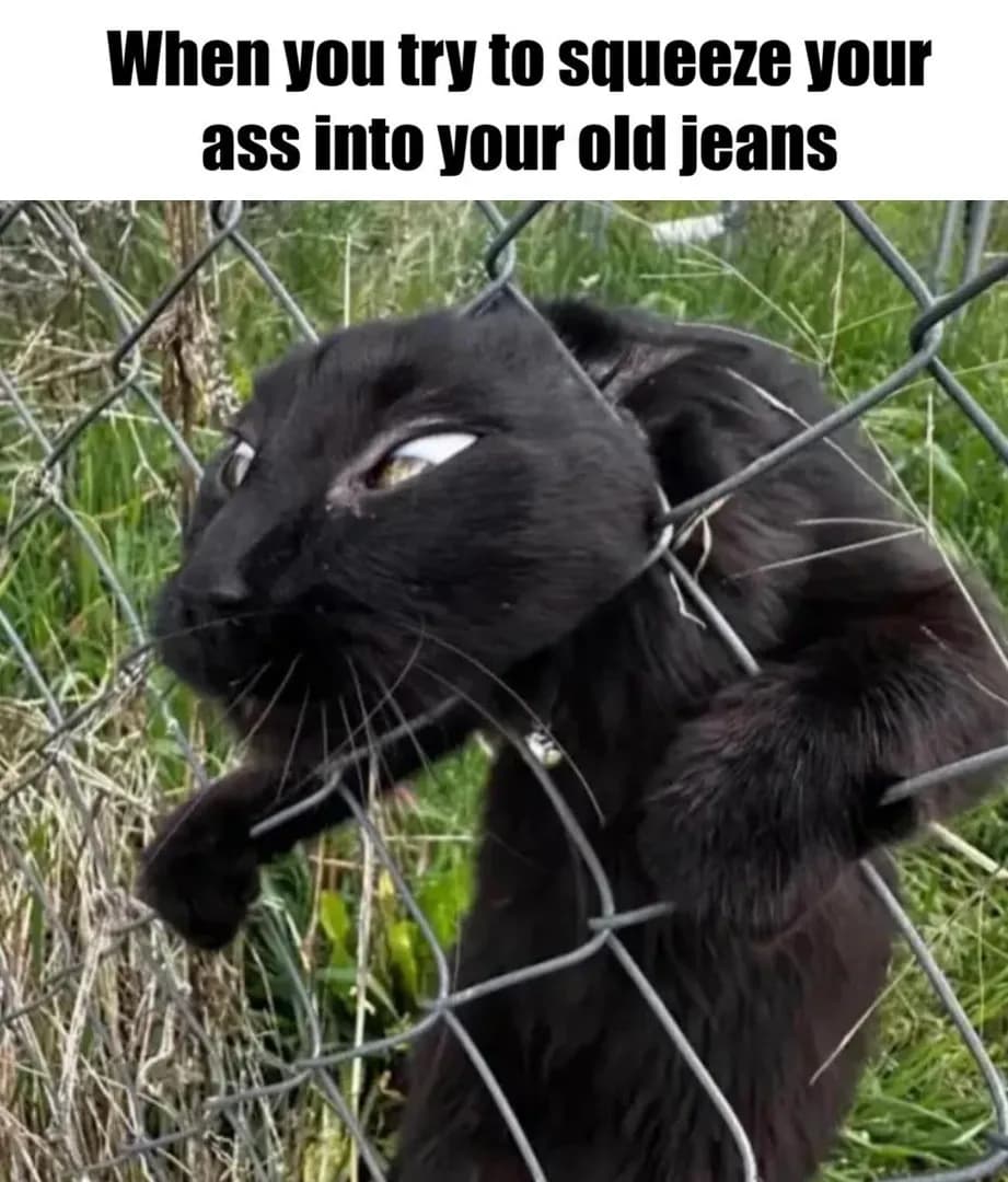 The ancients still speak of the time they fit