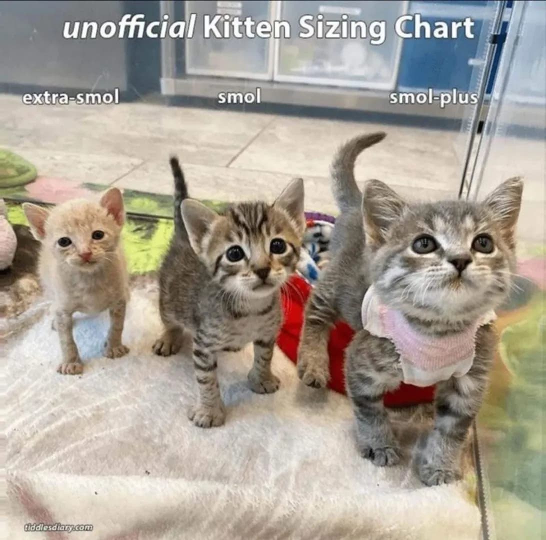 What size is your?