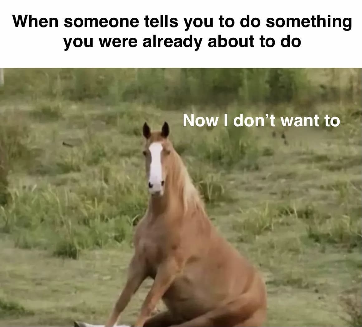 Why, just why