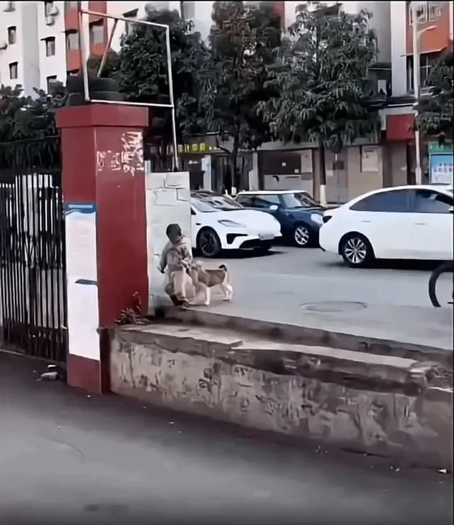 Doggo and kiddo