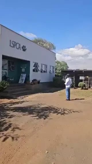 Forced to leave South Africa, Stephen had to leave his best friend Fireman behind. Strangers came together to fly Fireman to Malawi. This was their reunion.