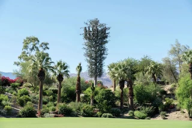 TIL the company behind Disney World’s Tree of Life took its theme park expertise and turned it into a business disguising cell towers as trees. California is now its biggest market.