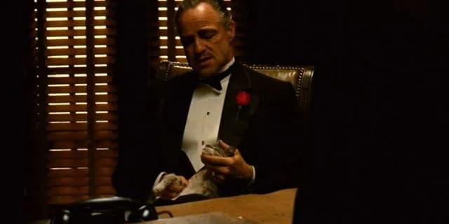 TIL that the iconic cat in Marlon Brando's hands in the movie "The Godfather" was just a stray cat that was wandering around the Paramount Studios lot. The director of the movie, Francis Ford Coppola,