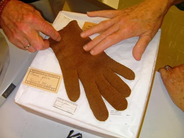 TIL a rare golden cloth called "sea silk" was woven from the fine threads that pen shells (a type of clam) spin to anchor themselves to the sea floor, and it was so fine that a pair of knitted gloves