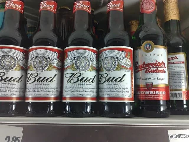 TIL the Budweiser name has been disputed for a century between a Czech and an American company and only one of them can be sold under the name depending on where you are