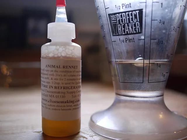 TIL Animal rennet, one of the main ingredients used in making cheese, is gathered from the gut of baby cows, sheep, or goats and is what separates the milk they drink into liquids and solids for diges