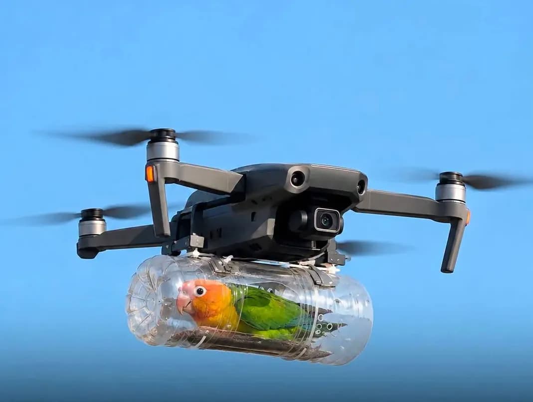 a bird owner built a small drone with a cabin so that his disabled bird could enjoy the sky again
