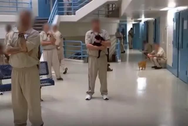 Indiana State prison lets well-behaved inmates care for a rescued kitten, eventually allowing them to keep it