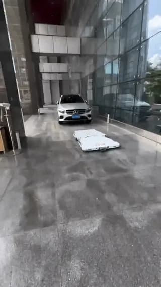 Valet parking is getting wild