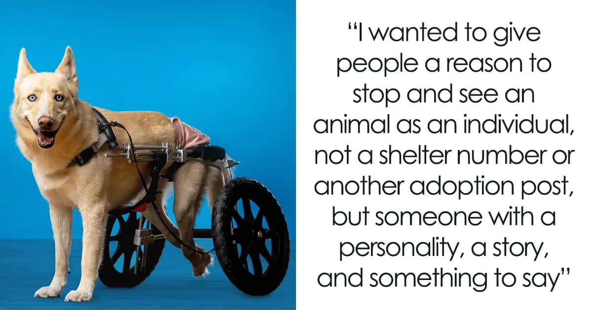 Visual Stories: Distinctive Photos Of Overlooked Animals