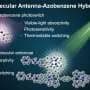 Molecular antennae make light-activated molecular switches more sensitive
