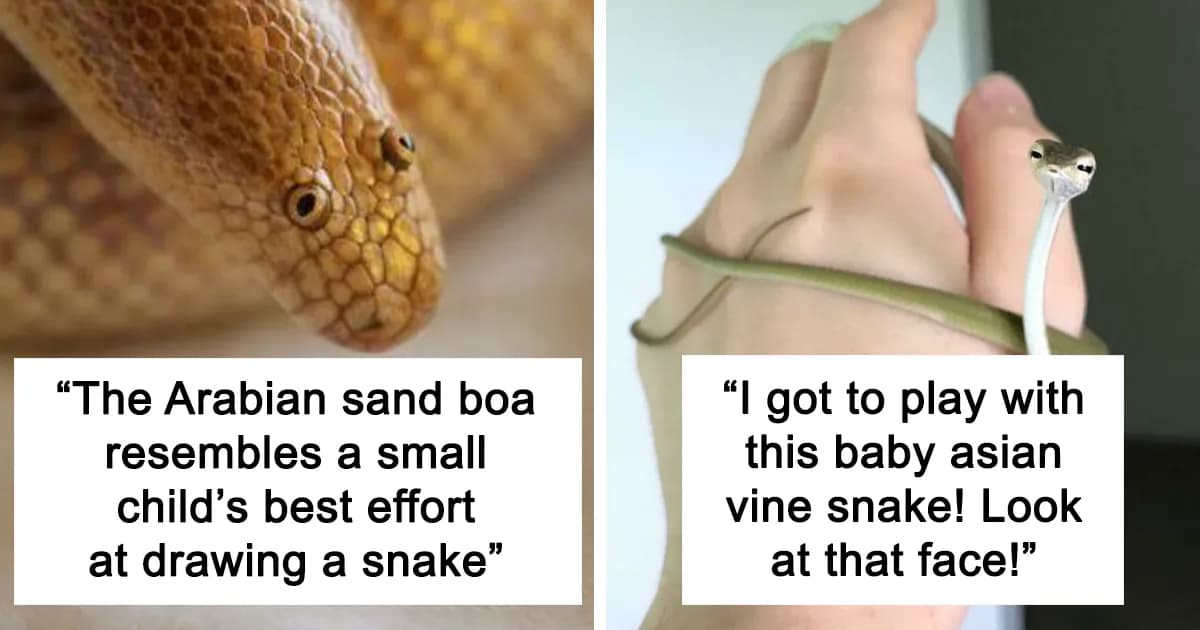 Adorable Snake Photos That Show They Aren’t Always Scary