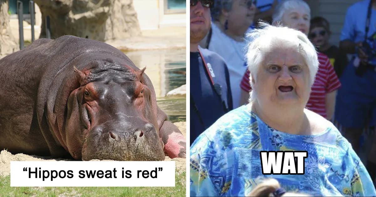35 Interesting And Weird Animal Facts Not Too Many People Know
