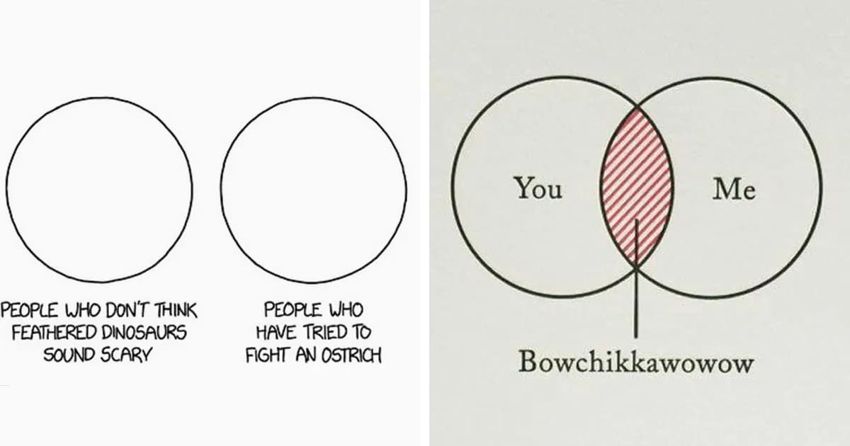 28 Venn Diagrams That Are More Funny Than Useful