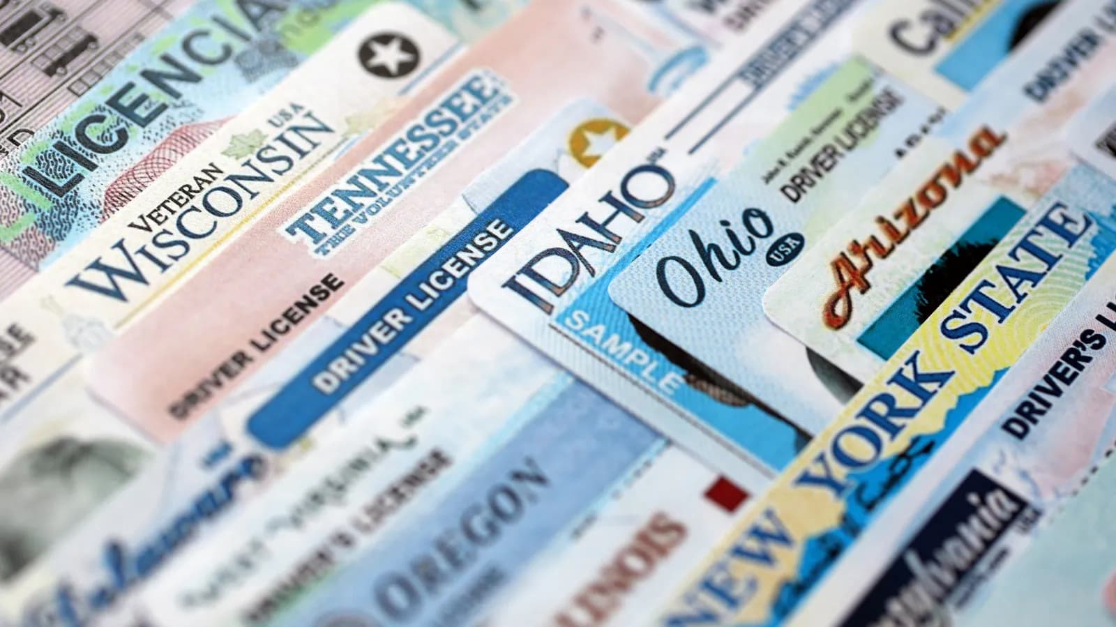 IDScan is offering free credit monitoring and ID protection after leaking driver