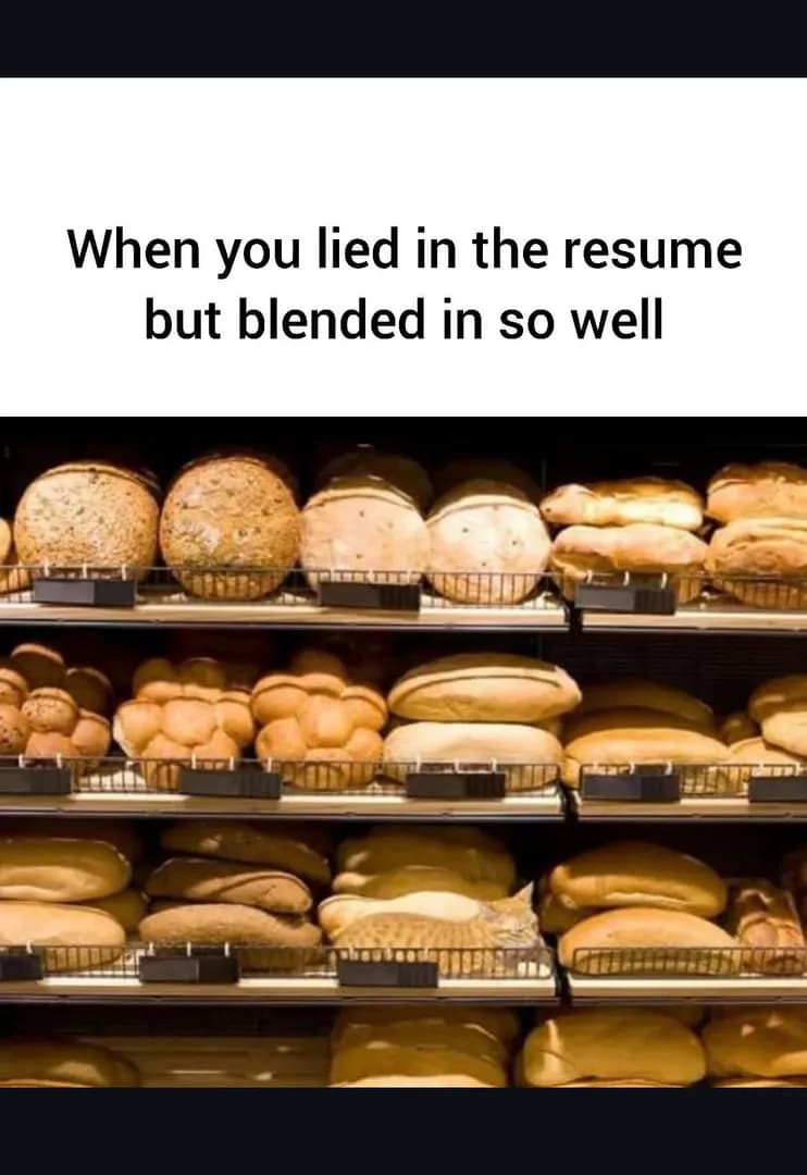 Stealth 100