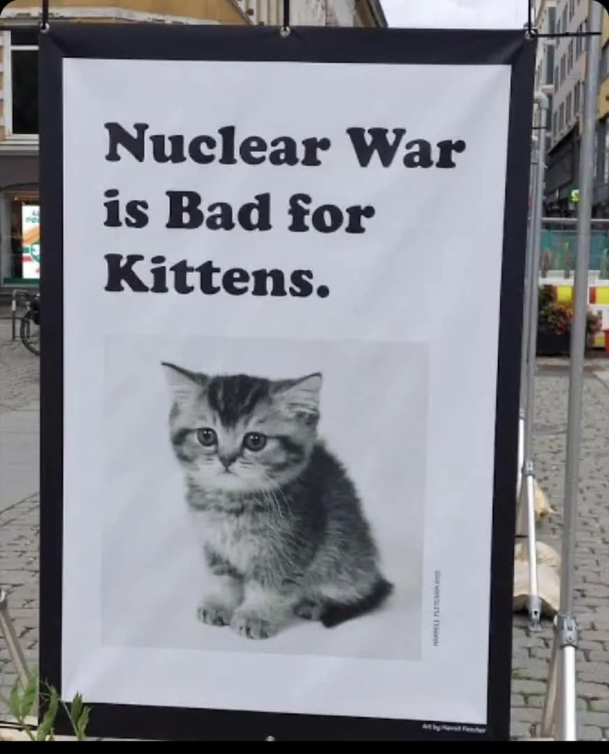 It's not good for kittens
