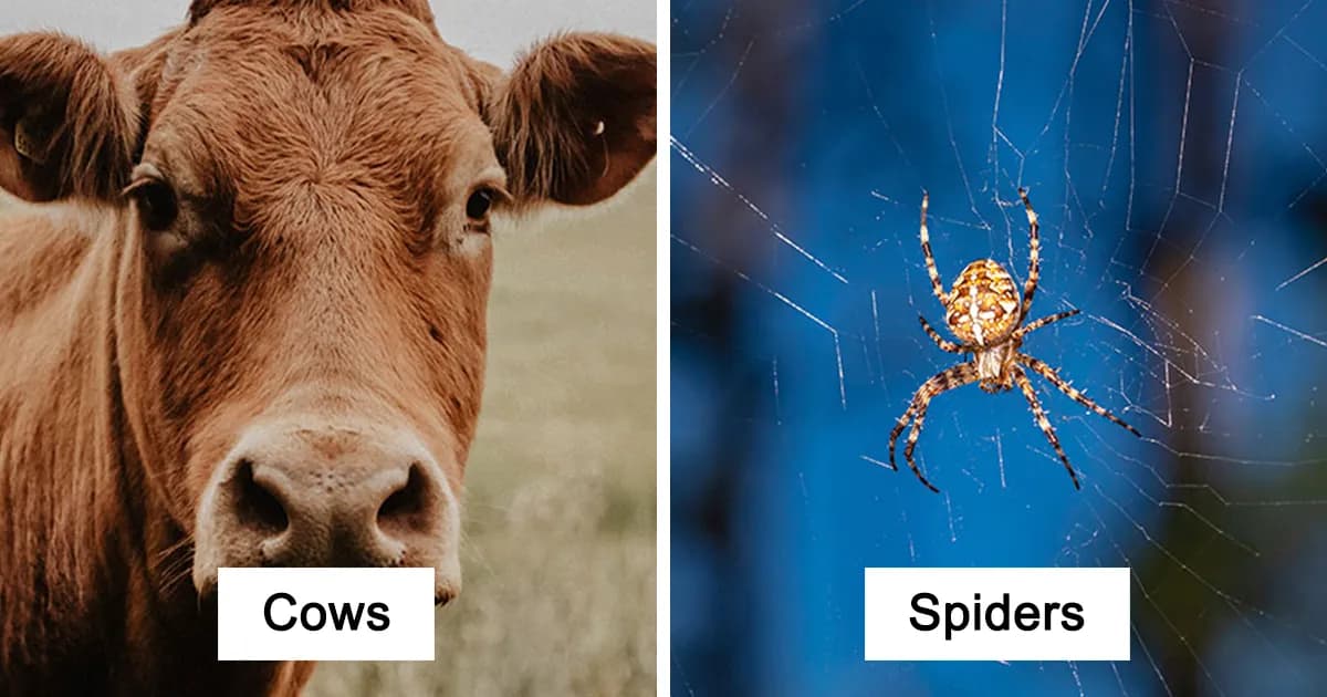 50 Animals That Don’t Get The Recognition They Absolutely Deserve