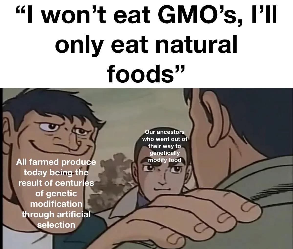 Define “genetically modified”