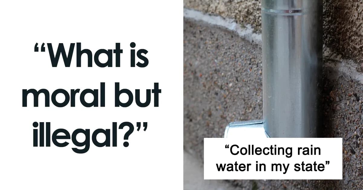 What Is Moral But Illegal? 29 Bizarre Laws Around The World