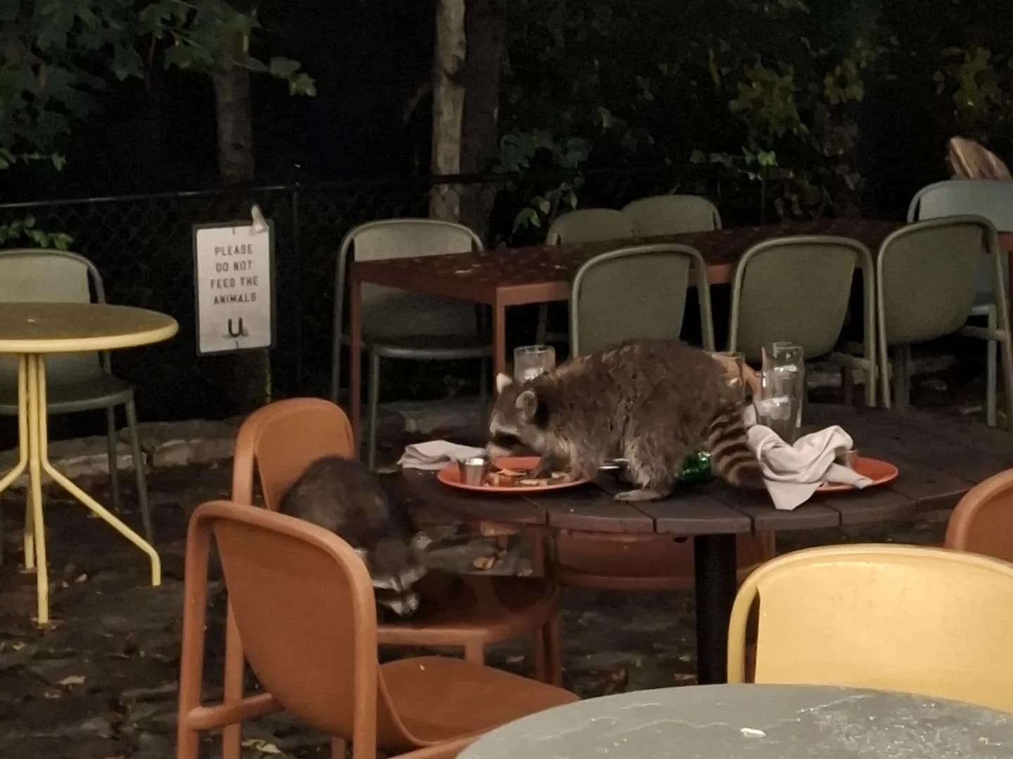 I'm not sure they saw the sign...