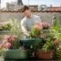 How to help your garden recover from a heat wave