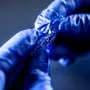 Fully recyclable hydrogel begins healing itself within minutes