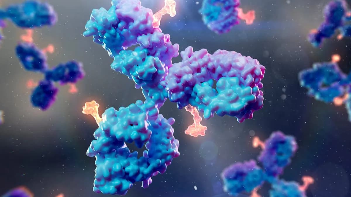 Scientists Create New Antibody For Virus That Infects 95% of People