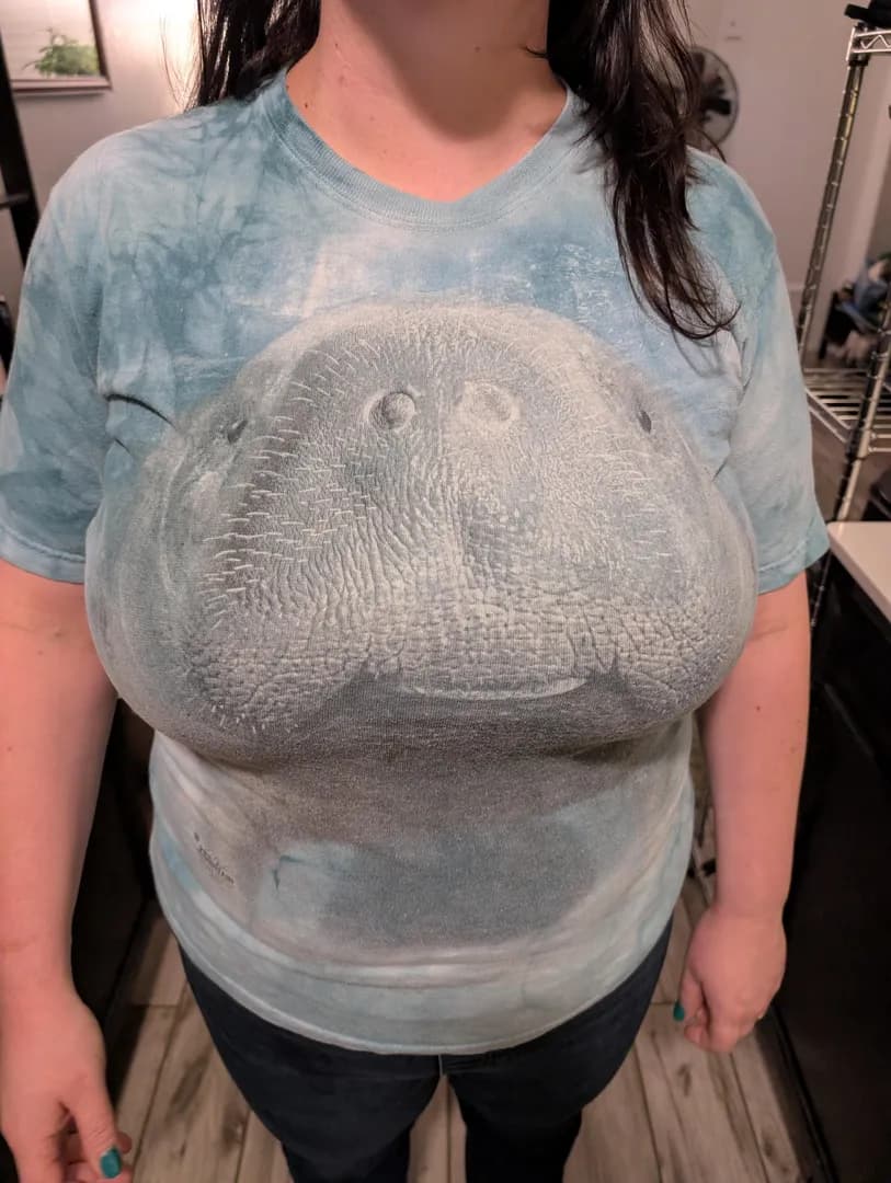 I bought this at the Blue Springs State Park gift shop...Its in 3DDD