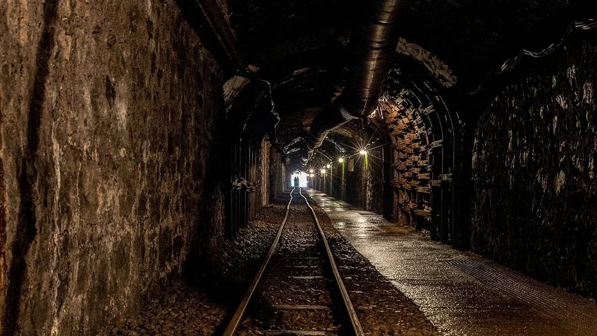 Chinese Scientists Propose Turning Abandoned Coal Mines Into Farming Laboratories
