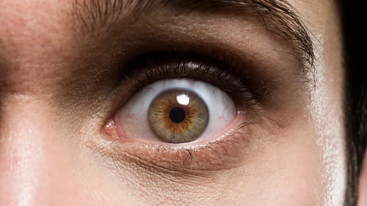 Gone Too Hard? Regular Erectile Dysfunction Drug Use Raises Risk of Vision Loss, Study Finds
