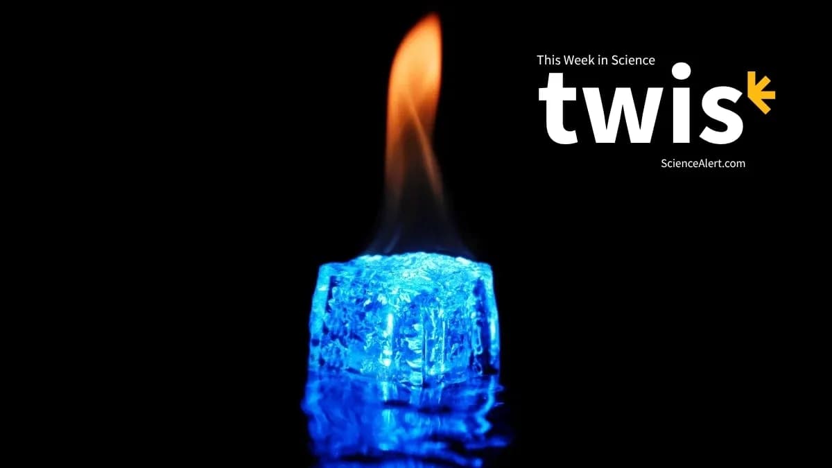 This Week in Science: Poop Concrete, Hot Ice, And More!