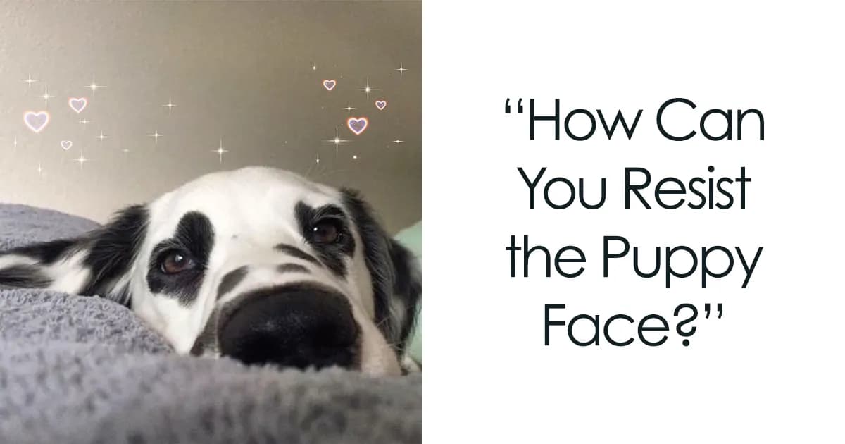 35 Love Memes To Share With Your Special Someone