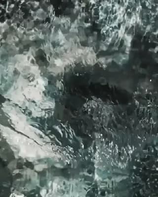 Making eye contact with a grey whale