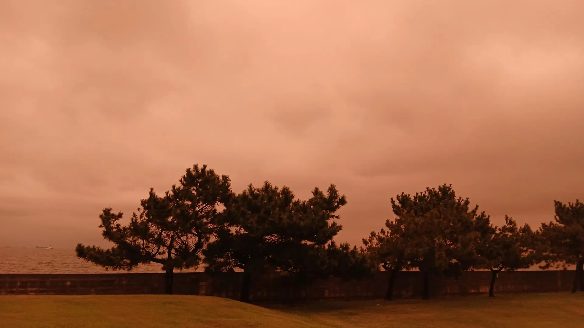 It was very orange outside today, photo token at 5500 Kelvin
