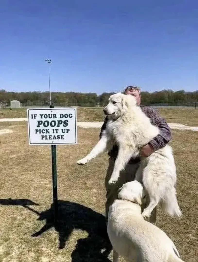 Well, rules are rules.