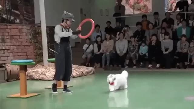 Hold it still!