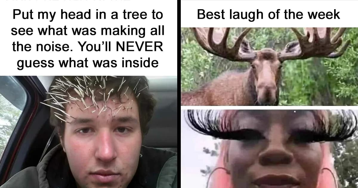 People Who Enjoy Being Outdoors Shared These 45 Relatable Memes