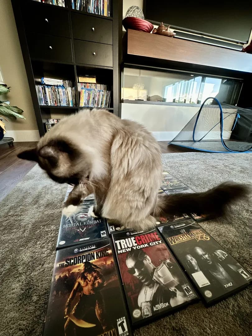 Who knew that my GameCube games were so comfortable?