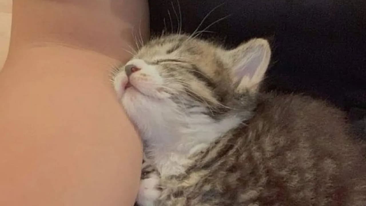 80 Heartwarming Memes That Will Make Your Day A Little Brighter