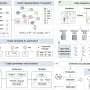 AI extracts interpretable constitutive laws directly from solid-mechanics data