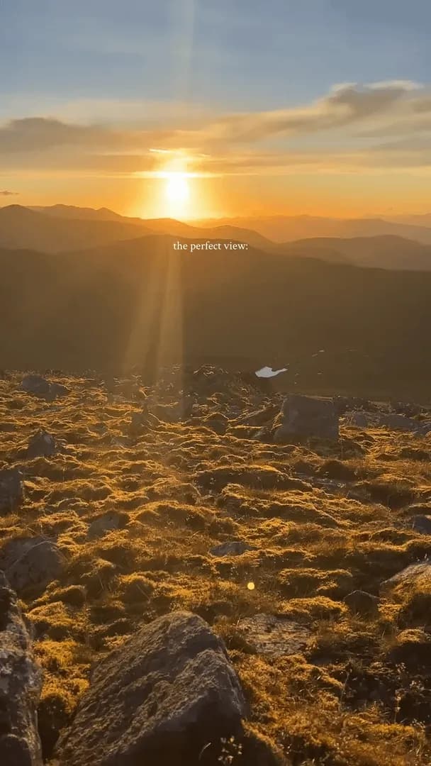 Sunset view with your dog