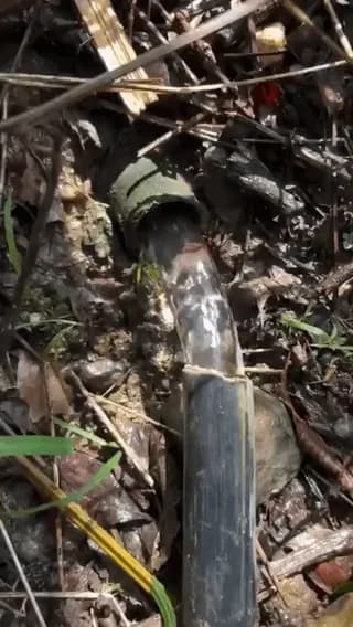 The way it bridges the pipe gap without a single splash is pure perfection.